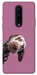 Чохол на OnePlus 8 А що тут фото 1 з 1