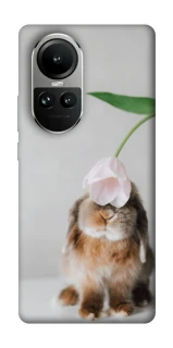 Чехол на Oppo Reno 10 Bunny фото 1 из 2