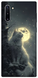 Чохол на Samsung Galaxy Note 10 Кіт під місяцем фото 1 з 1