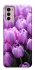 Чехол на Motorola Moto G42 Фиолетовые тюльпаны фото 1 из 1