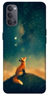 Чехол на Oppo Reno 4 Sky fox фото 1 из 1