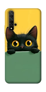 Чехол на Huawei Honor 20 / Nova 5T Black cat v2 фото 1 из 1