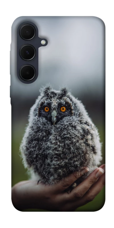 Чехол на Samsung Galaxy A35 Совёнок фото 1 из 1