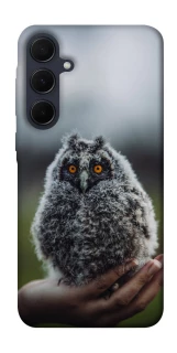 Чохол на Samsung Galaxy A35 Совеня фото 1 з 1