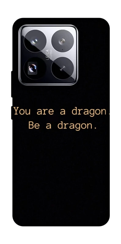 Чохол на Xiaomi 15 Pro House of the Dragon ver.9 фото 1 з 1
