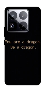 Чохол на Xiaomi 15 Pro House of the Dragon ver.9 фото 1 з 1