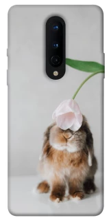 Чохол на OnePlus 8 Bunny фото 1 з 1