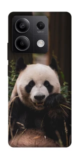 Чехол на Xiaomi Redmi Note 13 5G Панда фото 1 из 1