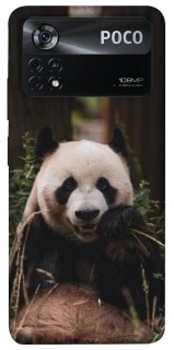 Чехол на Xiaomi Poco X4 Pro 5G Панда фото 1 из 1