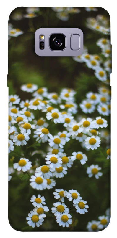 Чехол на Samsung G955 Galaxy S8 Plus Ромашки v13 фото 1 из 1