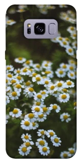 Чехол на Samsung G955 Galaxy S8 Plus Ромашки v13 фото 1 из 1