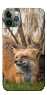 Чехол на Apple iPhone 11 Pro (5.8") Лиса фото 1 из 1