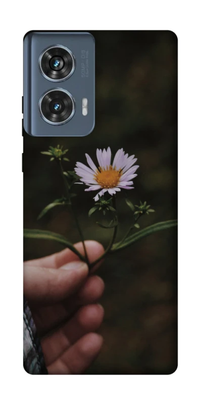 Чехол на Motorola Edge 50 Ромашка v4 фото 1 из 1