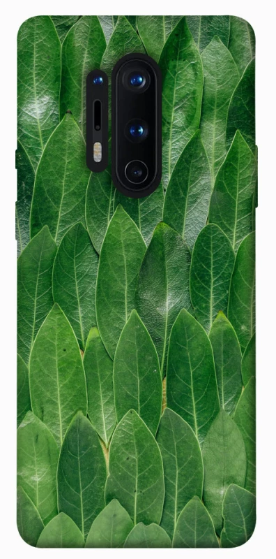 Чохол на OnePlus 8 Pro Листя фото 1 з 1