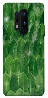 Чохол на OnePlus 8 Pro Листя фото 1 з 1