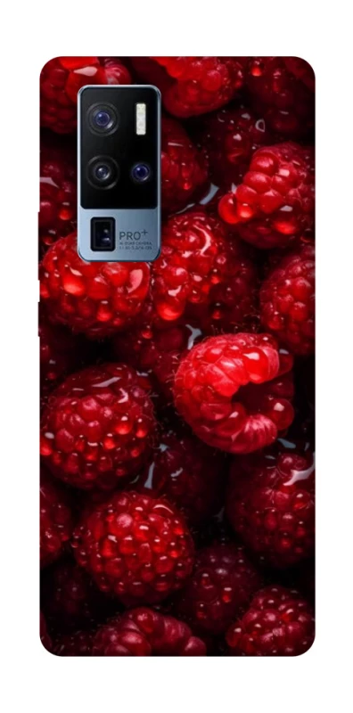 Чехол на Vivo X50 Pro+ Малинка фото 1 из 1