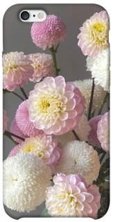 Чохол на Apple iPhone 6/6s (4.7") Flowers v2 фото 1 з 1