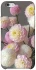 Чохол на Apple iPhone 6/6s (4.7") Flowers v2 фото 1 з 1