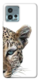 Чохол на Motorola Moto G72 Leopard Art v2 фото 1 з 1