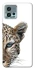 Чохол на Motorola Moto G72 Leopard Art v2 фото 1 з 1