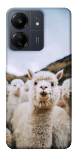 Чехол на Xiaomi Poco C65 Лама фото 1 из 1