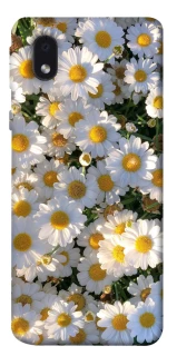 Чохол на Samsung Galaxy M01 Core / A01 Core Поле ромашок фото 1 з 1