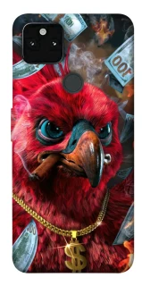 Чехол на Google Pixel 5A Попугай фото 1 из 1