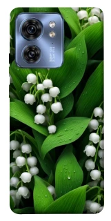 Чехол на Motorola Edge 40 Flowers v24 фото 1 из 1