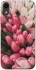 Чохол на Apple iPhone XR (6.1") Flowers v3 фото 1 з 1