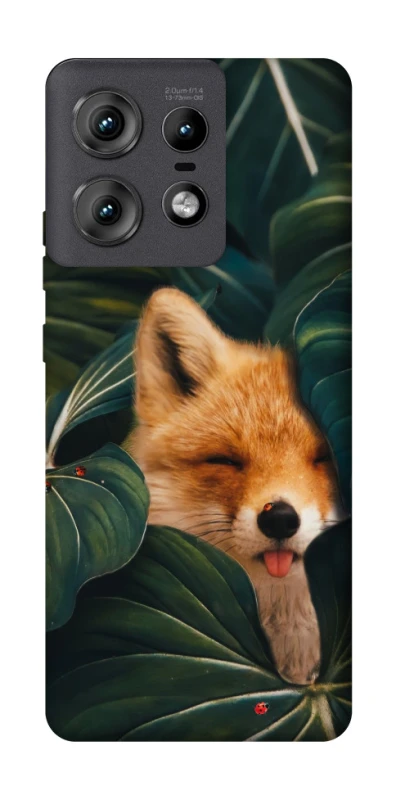 Чехол на Motorola Edge 50 Pro Fox фото 1 из 1