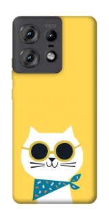 Чехол на Motorola Edge 50 Pro Кот-муркот фото 1 из 1