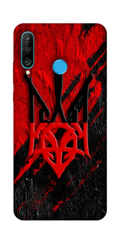 Чехол на Huawei P30 lite Герб v17 фото 1 из 1