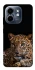 Чохол на Infinix Smart 9 4G / Hot 50i Leopard v4 фото 1 з 1