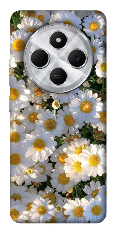 Чохол на Xiaomi Redmi 14C / Poco C75 Поле ромашок фото 1 з 1