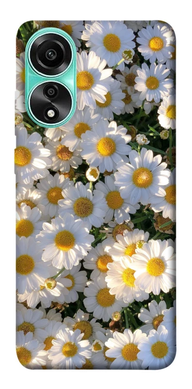 Чохол на Oppo A78 4G Поле ромашок фото 1 з 1