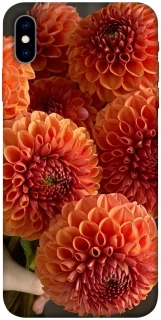 Чохол на Apple iPhone X (5.8") Flower1 фото 1 з 1