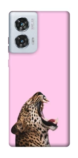 Чехол на Motorola Edge 50 Fusion Leopard Meow фото 1 из 1