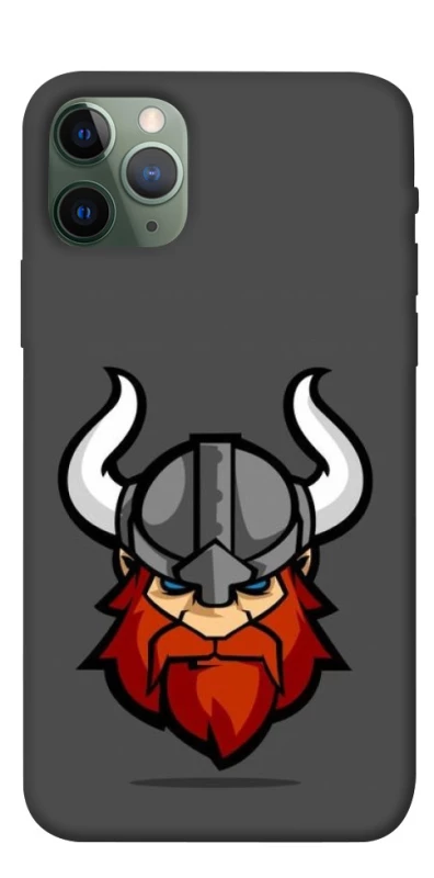 Чохол на Apple iPhone 11 Pro (5.8") Viking v3 фото 1 з 1