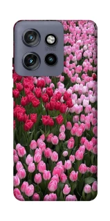 Чехол на Motorola Edge 50 Neo Flowers v9 фото 1 из 1