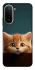Чохол на Xiaomi Redmi A7 Pro 4G Чохол Кошеня фото 1 з 2