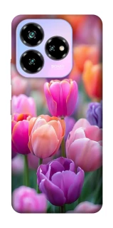 Чохол на ZTE Nubia V60 Desing Тюльпанове поле фото 1 з 1