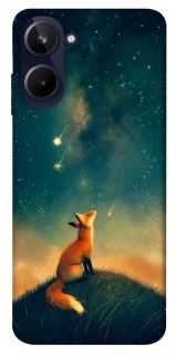 Чохол на Realme 10 4G Sky fox фото 1 з 1