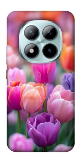 Чохол на Xiaomi Redmi Note 15 Pro+ 5G Тюльпанове поле фото 1 з 1