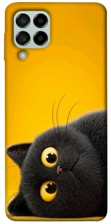 Чохол на Samsung Galaxy M53 5G This is Cat фото 1 з 1