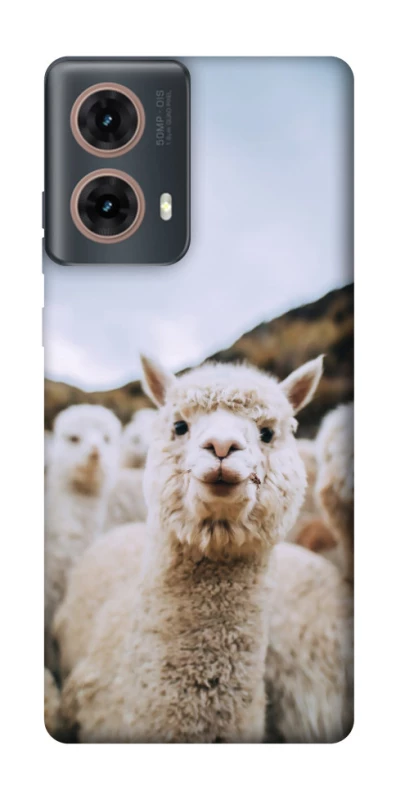 Чохол на Motorola Moto G85 Лама фото 1 з 1