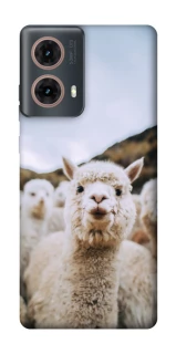 Чохол на Motorola Moto G85 Лама фото 1 з 1