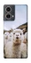 Чохол на Motorola Moto G85 Лама фото 1 з 1