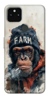 Чохол на Google Pixel 5A Шимпанзе v3 фото 1 з 1