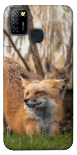 Чехол на Infinix Hot 10 Lite Лиса фото 1 из 1