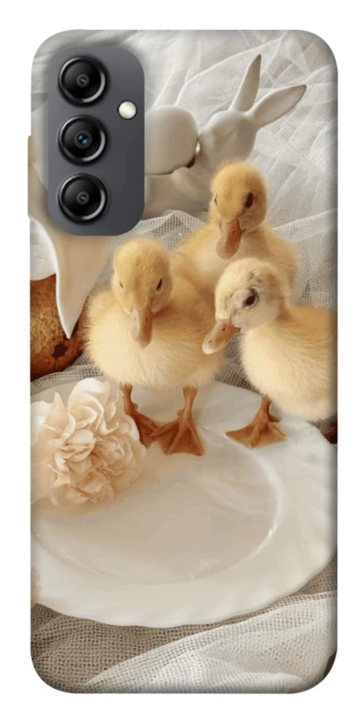 Чехол на Samsung Galaxy A14 4G/5G Easter Vibes фото 1 из 1